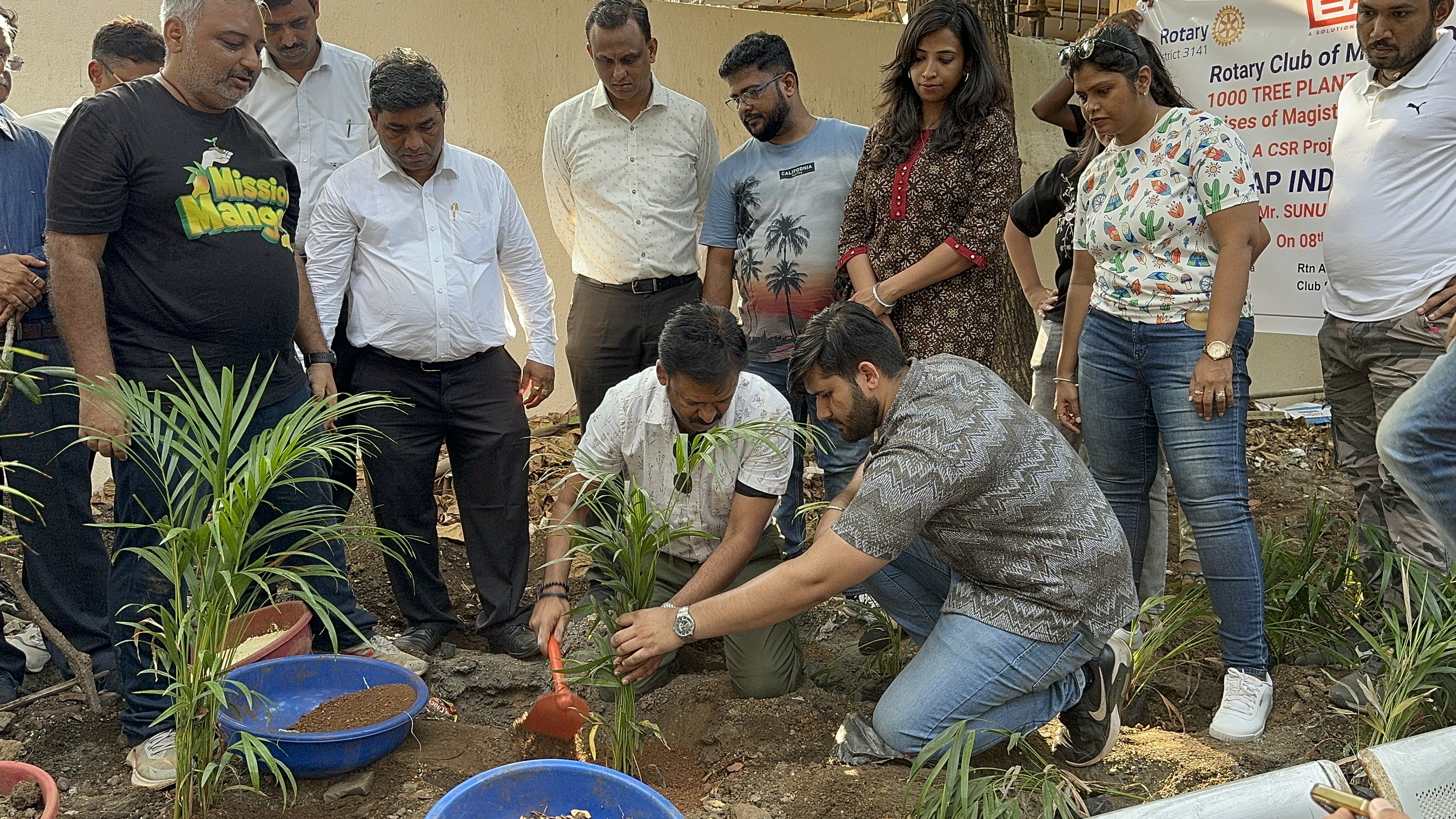 Tree Plantations